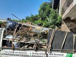 Best Dumpster Rental Services  in Wabasso Beach, FL